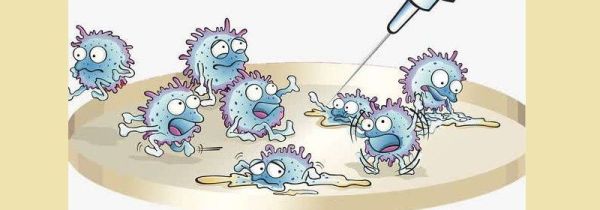 细菌存活的条件