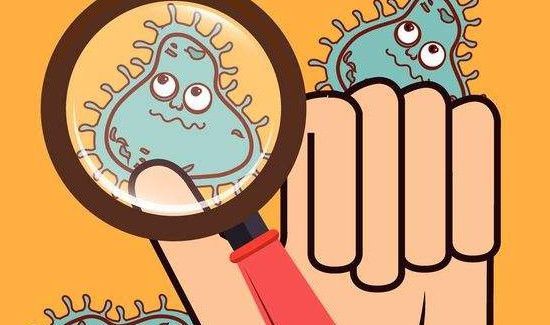 细菌存活的条件