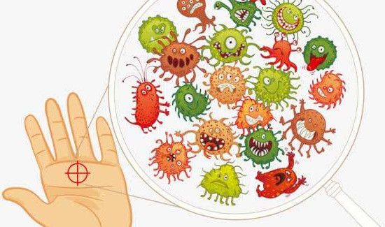 细菌存活的条件