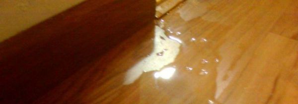 家里地板被水泡了怎么办