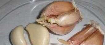 如何做在家种蒜苗