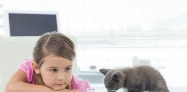 为什么小孩子都很喜欢小动物？