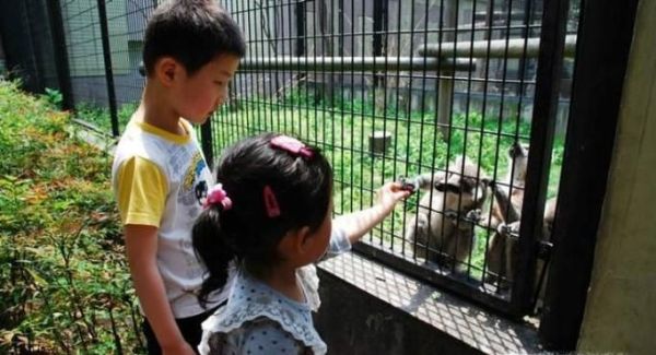 为什么小孩子都很喜欢小动物？