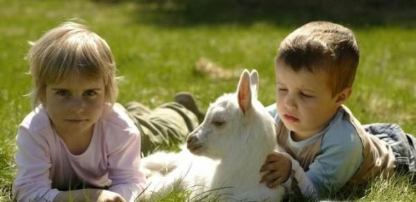 为什么小孩子都很喜欢小动物？