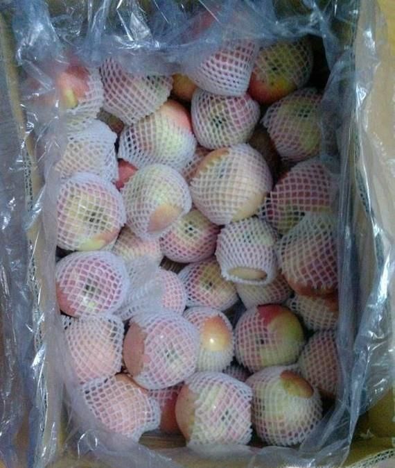 苹果怎样储存最好