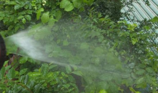 过期的黄酒能喝吗?它还有什么用