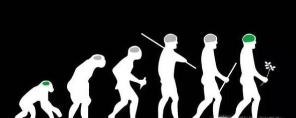 人与哪种动物的基因最接近