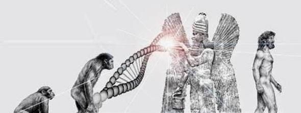 人与哪种动物的基因最接近