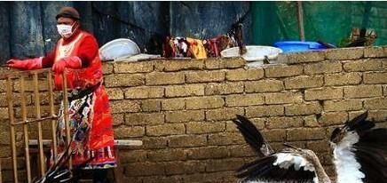 哪些人不适合看天葬