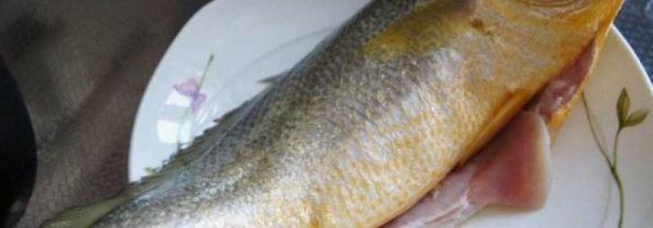 黄花鱼蒸多长时间能熟