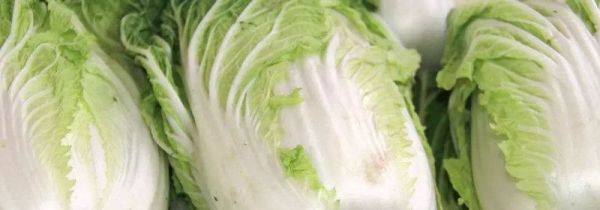 绍菜和大白菜的区别