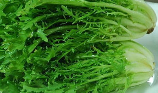 银丝芥菜是苦菊吗