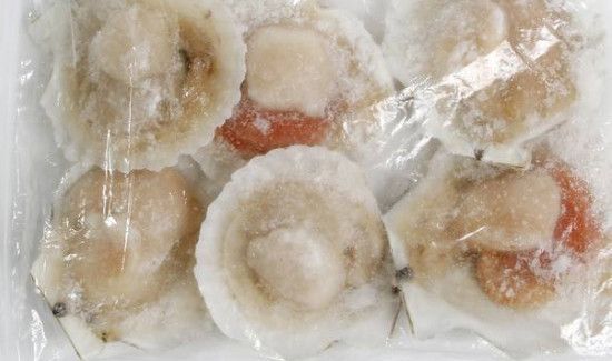 扇贝如何冷冻保存