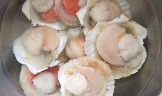 扇贝如何冷冻保存