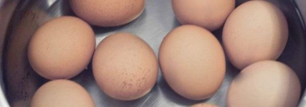 电饭煲煮鸡蛋要多久