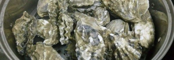 带壳海蛎子蒸还是煮