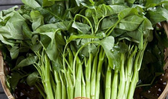 腌好的咸菜怎么储存