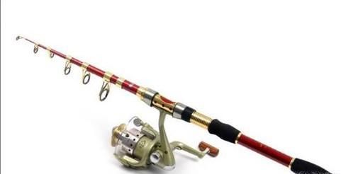 春季怎么钓鲫鱼