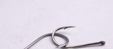 春季怎么钓鲫鱼