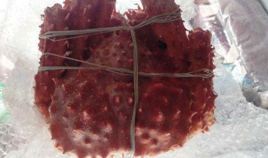 冷冻帝王蟹可以吃吗