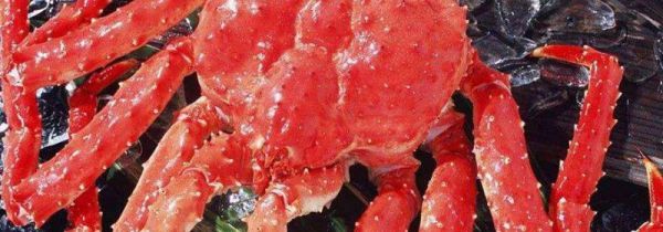 冷冻帝王蟹可以吃吗