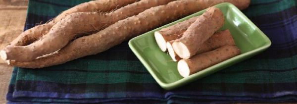 铁棍山药煮多久熟