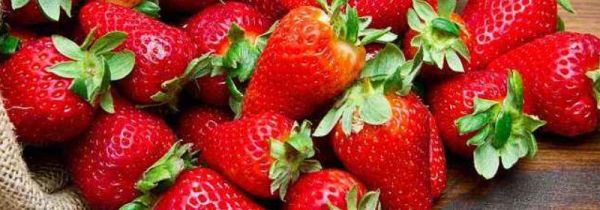 草莓和牛肉能一起吃吗