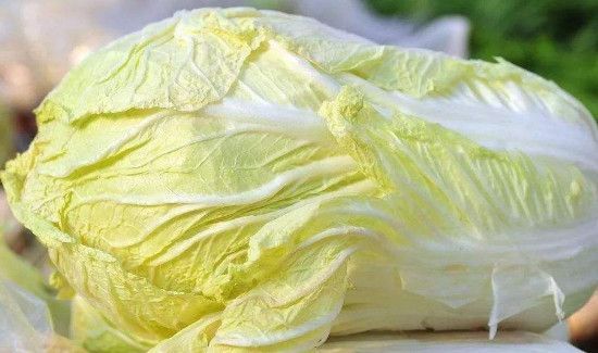 白菜和蘑菇能一起吃吗