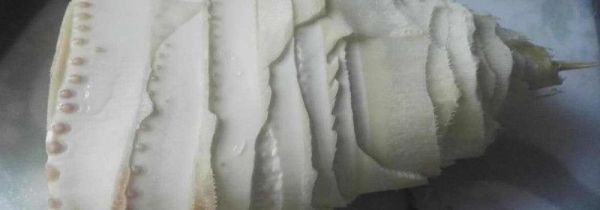 冬笋可以冷冻保存吗