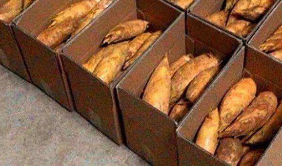 冬笋可以冷冻保存吗