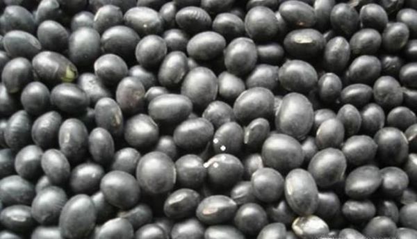 染色黑米怎样辨别