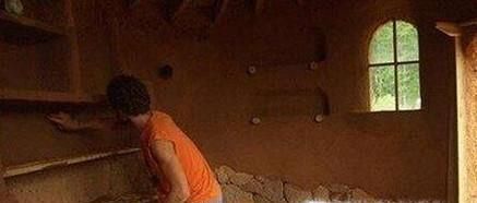 家里有天牛怎么办