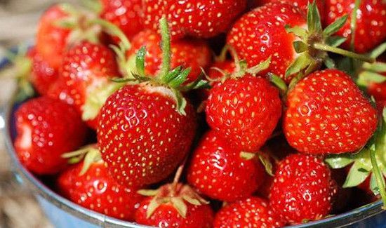 车厘子跟草莓能一起吃吗
