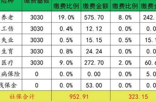 怎么查询社保缴费记录
