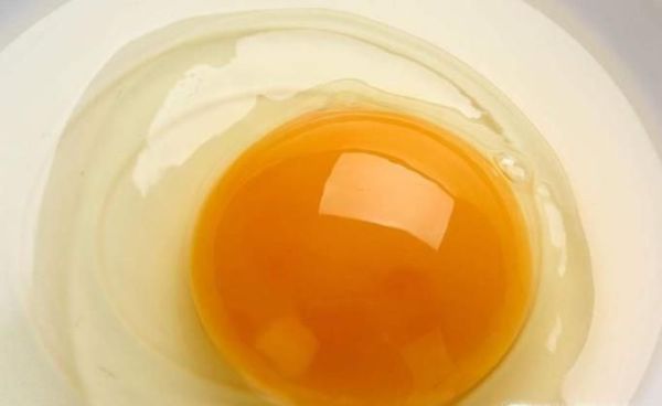 一般孕妇吃什么食物补铁好？