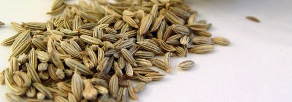 小茴香是孜然吗