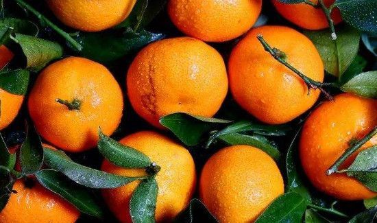 柿饼可以和橘子一起吃吗