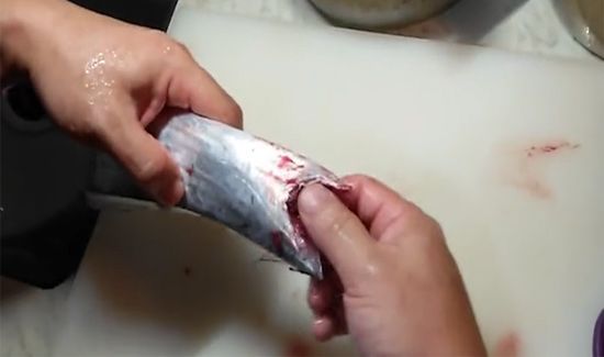 带鱼怎么处理干净