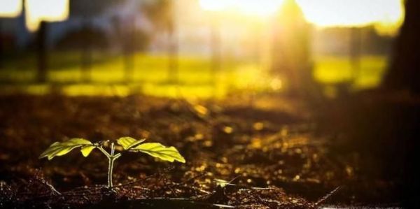 怎么让自己变得更优秀