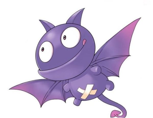 除了人类，还有什么动物会来月经？