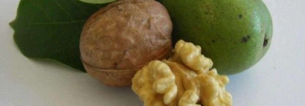 生核桃和熟核桃的区别