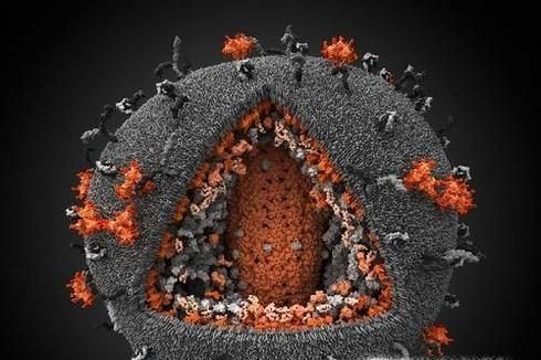 十个纹身九个后悔？