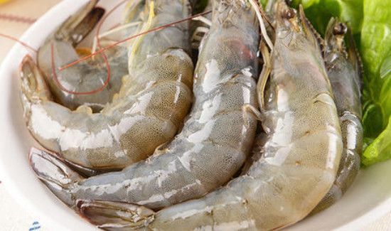 白虾和青虾的营养区别