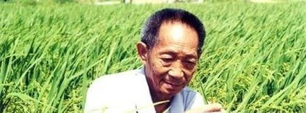 我国有哪些著名的科学家