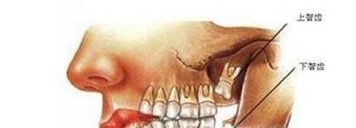 智齿什么时候长