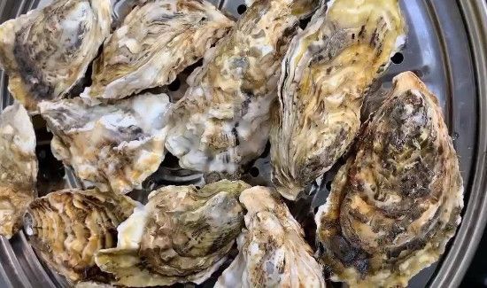 生蚝不开口怎么办