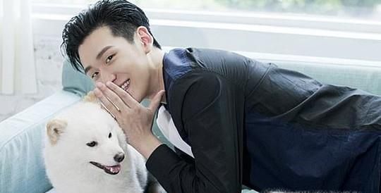 狗狗不想养了怎么处理