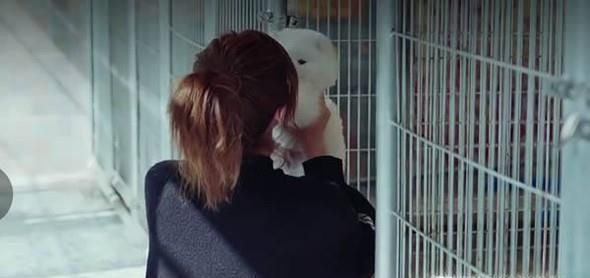 狗狗不想养了怎么处理