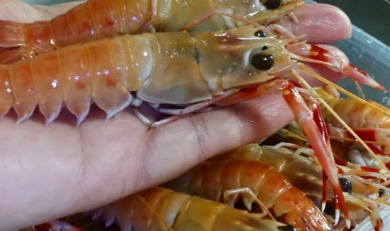 鳌虾和龙虾的区别