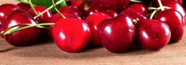 车厘子是碱性还是酸性食物